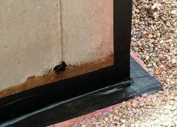 Góc chân tường chống thấm